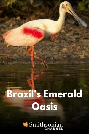 Постер: Brazil's Emerald Oasis