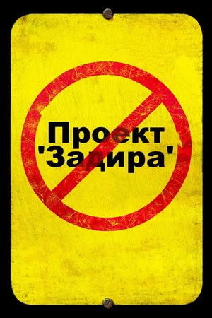 Постер: Проект 'Задира'