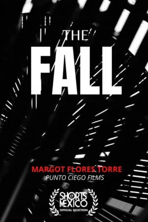 Постер: The fall