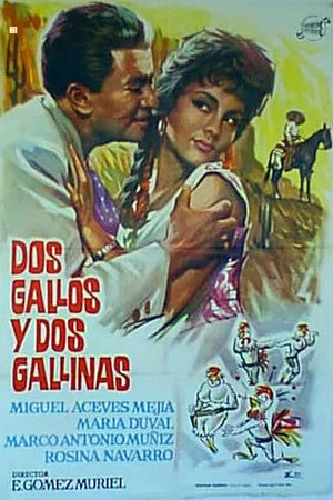 Постер: Dos gallos y dos gallinas