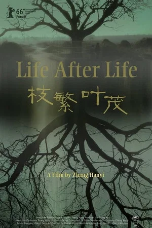 Постер: Life After Life