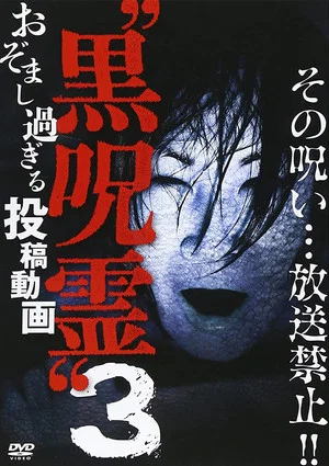Постер: Submitted Videos That Cannot be Broadcast: Black Ghost 3