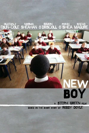 Постер: New Boy