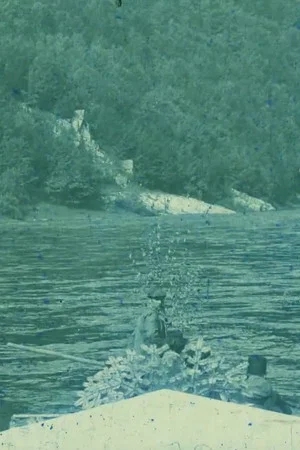 Постер: Midsummer Currents