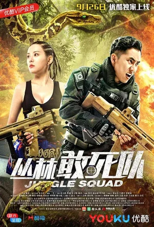 Постер: 丛林敢死队