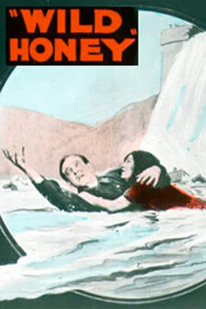 Постер: Wild Honey