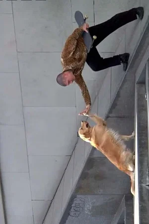 Постер: •BOOM