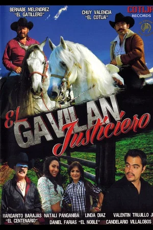 Постер: El Gavilan Justiciero