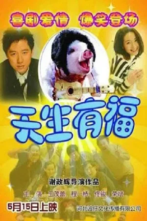 Постер: 天生有福