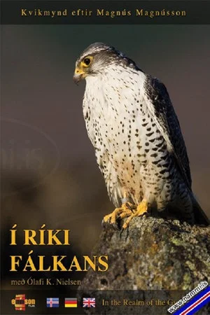 Постер: Í ríki fálkans