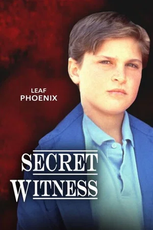 Постер: Secret Witness