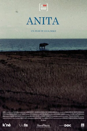 Постер: Anita