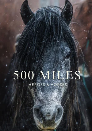 Постер: 500 Miles - The Story of Ranchers and Horses
