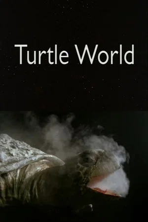 Постер: Turtle World