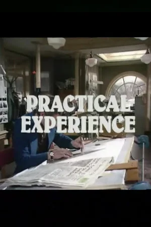 Постер: Practical Experience