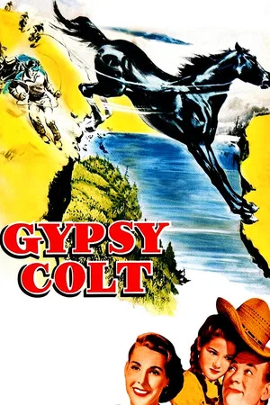 Постер: Gypsy Colt
