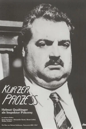 Постер: Kurzer Prozeß