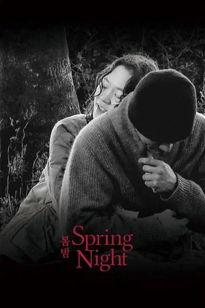 Постер: Spring Night