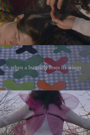 Постер: When A Butterfly Loses Its Wings