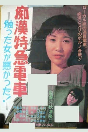 Постер: The Molester Express: It's the Woman's Own Fault She Got Touched!