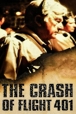 Постер: The Crash of Flight 401