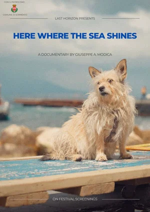 Постер: Here where the sea shines