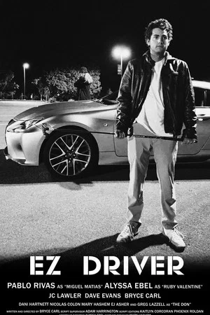Постер: EZ Driver
