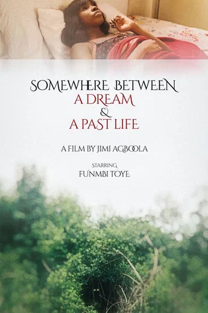 Постер: Somewhere Between a Dream and a Past Life