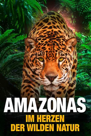 Постер: AMAZON 3D