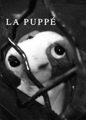 Постер: La Puppé