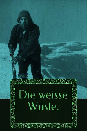 Постер: The White Desert