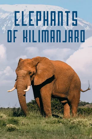 Постер: Elephants of Kilimanjaro