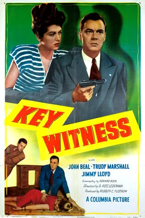 Постер: Key Witness