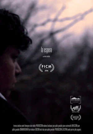 Постер: La espera (The Wait)