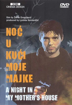Постер: A Night at My Mother's House