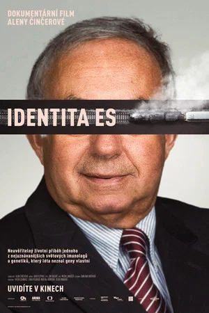 Постер: The Identity ES