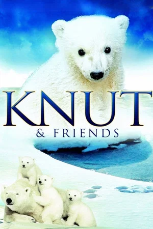Постер: Knut & Friends