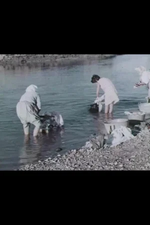Постер: Un feudo d'acqua