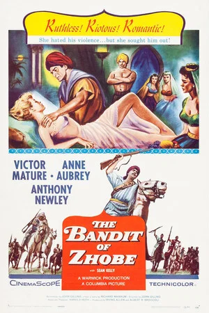 Постер: The Bandit Of Zhobe