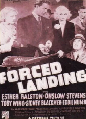 Постер: Forced Landing
