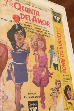 Постер: La quinta del amor
