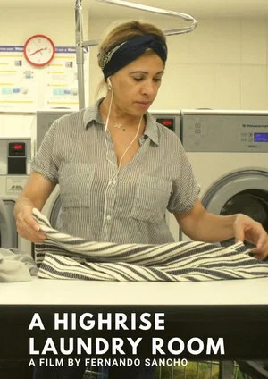 Постер: A Highrise Laundry Room