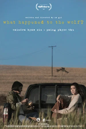 Постер: What Happened to the Wolf?
