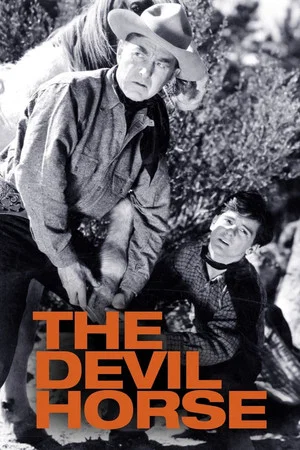Постер: The Devil Horse