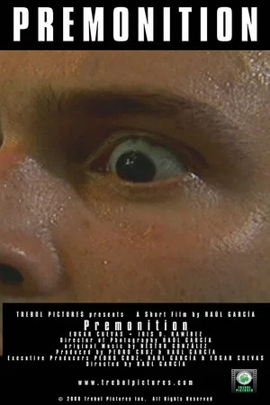 Постер: Premonition