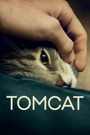 Постер: Кот