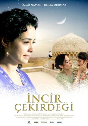 Постер: İncir Çekirdeği