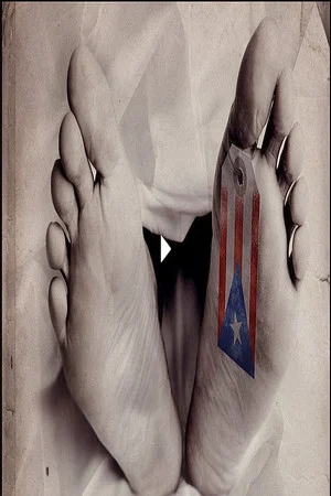 Постер: Collapse