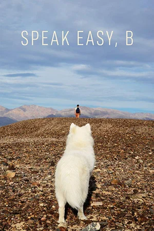 Постер: Speak Easy, B