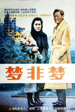 Постер: 梦非梦
